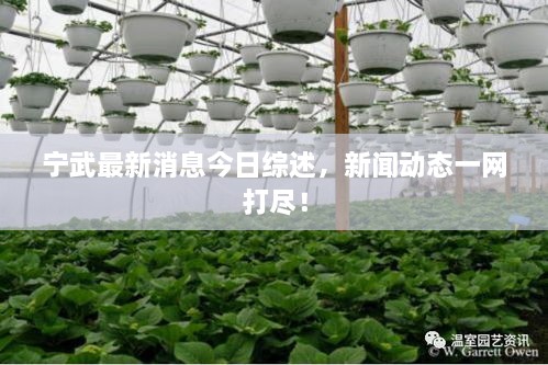 寧武最新消息今日綜述，新聞動(dòng)態(tài)一網(wǎng)打盡！