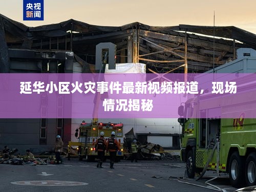 延華小區(qū)火災(zāi)事件最新視頻報道，現(xiàn)場情況揭秘