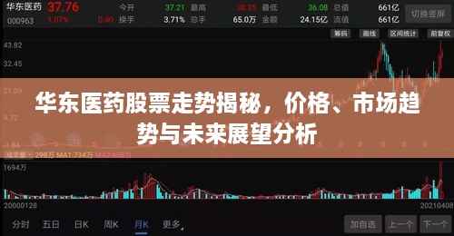 華東醫(yī)藥股票走勢(shì)揭秘，價(jià)格、市場(chǎng)趨勢(shì)與未來展望分析