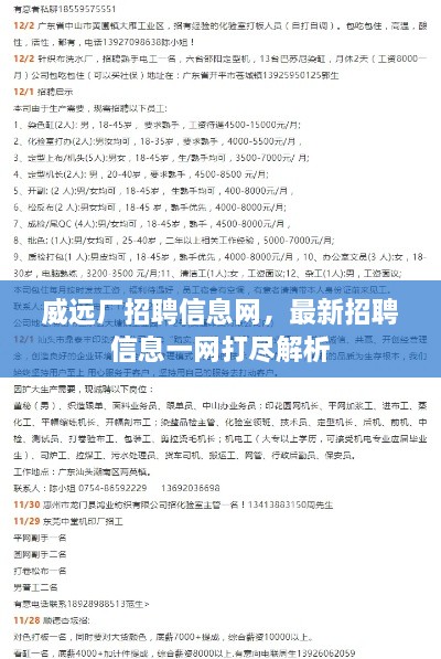 威遠(yuǎn)廠招聘信息網(wǎng)，最新招聘信息一網(wǎng)打盡解析