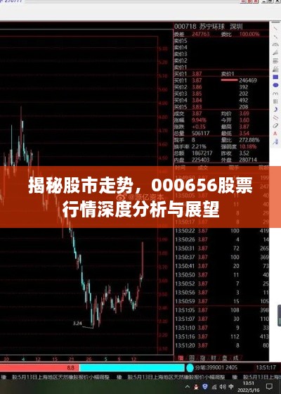 揭秘股市走勢，000656股票行情深度分析與展望