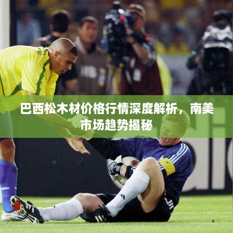 巴西松木材價(jià)格行情深度解析，南美市場趨勢揭秘