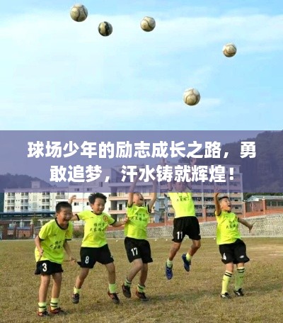 球場少年的勵志成長之路，勇敢追夢，汗水鑄就輝煌！