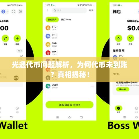 光遇代幣問題解析，為何代幣未到賬？真相揭秘！