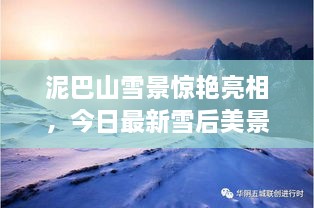 泥巴山雪景驚艷亮相，今日最新雪后美景報(bào)道！