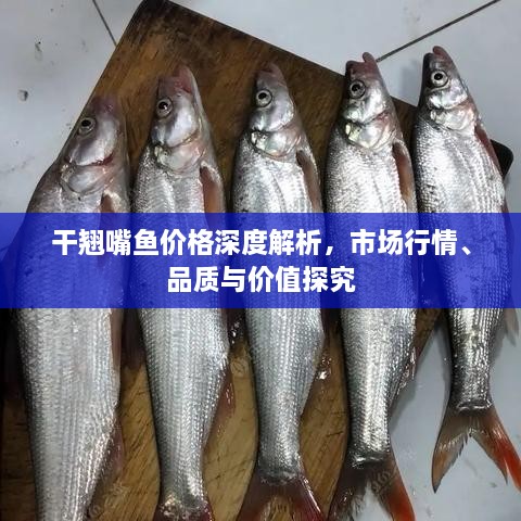 干翹嘴魚價(jià)格深度解析，市場行情、品質(zhì)與價(jià)值探究