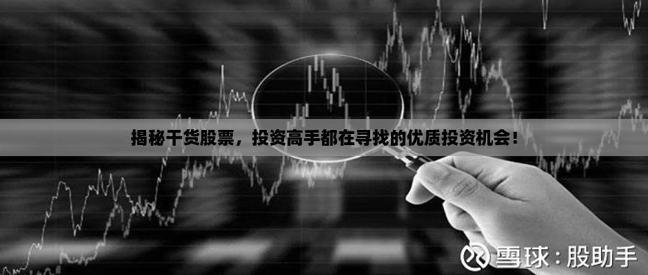揭秘干貨股票，投資高手都在尋找的優(yōu)質(zhì)投資機(jī)會！