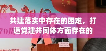 共建落實(shí)中存在的困難，打造黨建共同體方面存在的問(wèn)題 