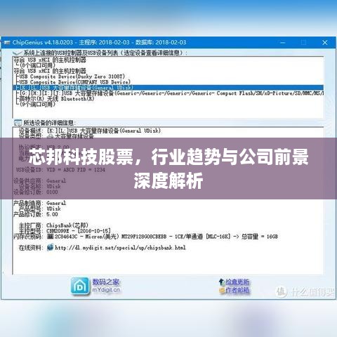 芯邦科技股票，行業(yè)趨勢與公司前景深度解析