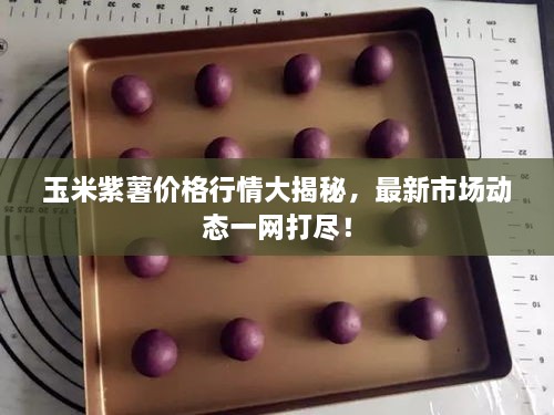 玉米紫薯價格行情大揭秘，最新市場動態(tài)一網(wǎng)打盡！