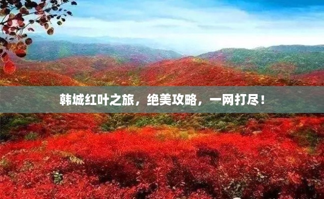 韓城紅葉之旅，絕美攻略，一網(wǎng)打盡！