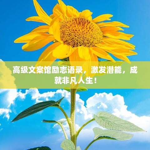 高級文案館勵志語錄，激發(fā)潛能，成就非凡人生！