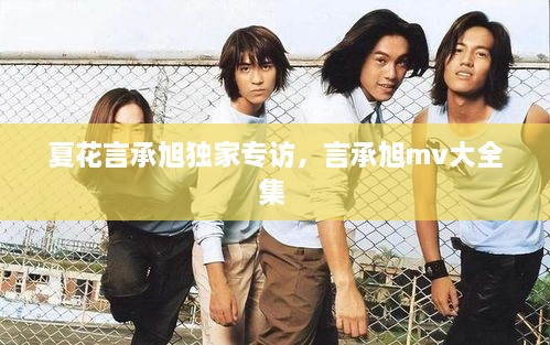 夏花言承旭獨(dú)家專訪，言承旭mv大全集 