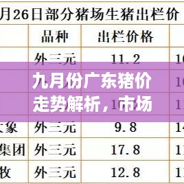 九月份廣東豬價走勢解析，市場行情、價格變動一網(wǎng)打盡