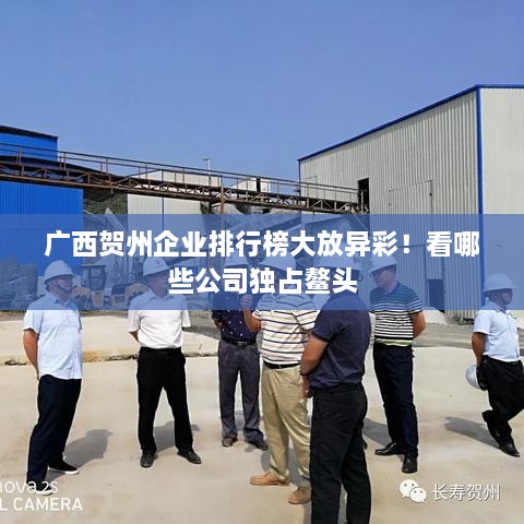 廣西賀州企業(yè)排行榜大放異彩！看哪些公司獨(dú)占鰲頭