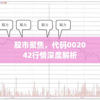 股市聚焦，代碼002042行情深度解析