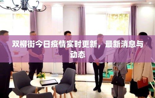 雙柳街今日疫情實(shí)時更新，最新消息與動態(tài)