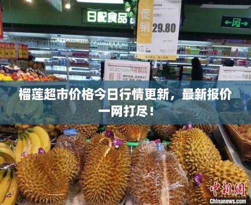榴蓮超市價格今日行情更新，最新報價一網(wǎng)打盡！
