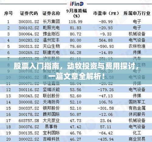 股票入門(mén)指南，動(dòng)牧投資與費(fèi)用探討，一篇文章全解析！
