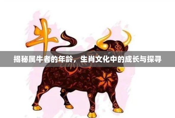 揭秘屬牛者的年齡，生肖文化中的成長(zhǎng)與探尋