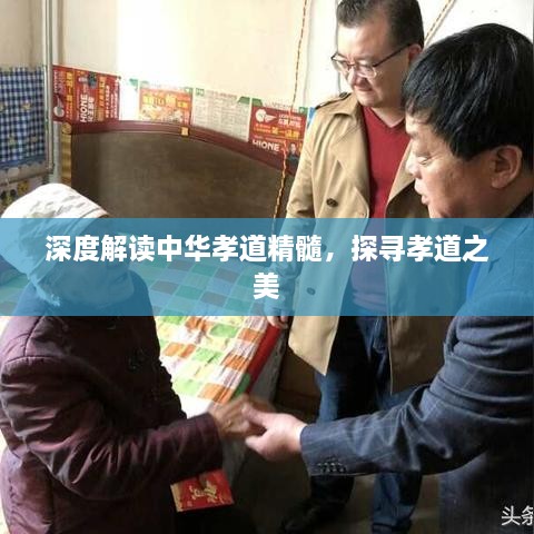 深度解讀中華孝道精髓，探尋孝道之美