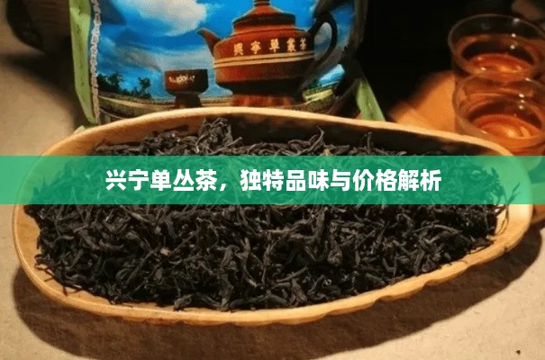 興寧單叢茶，獨(dú)特品味與價格解析