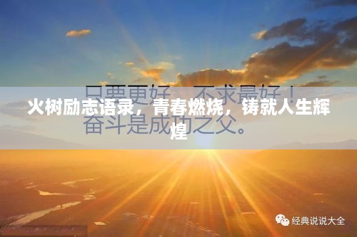 火樹勵(lì)志語錄，青春燃燒，鑄就人生輝煌