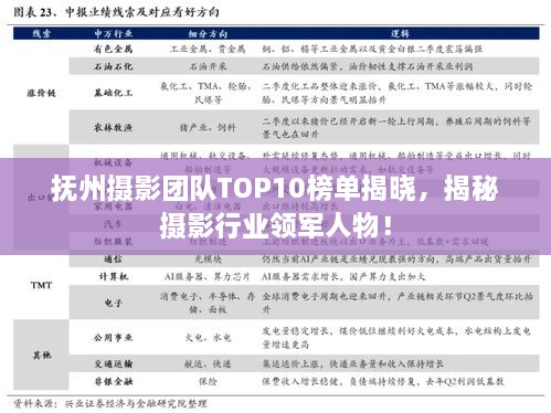 撫州攝影團隊TOP10榜單揭曉，揭秘攝影行業(yè)領(lǐng)軍人物！