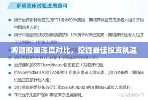 啤酒股票深度對比，挖掘最佳投資機遇