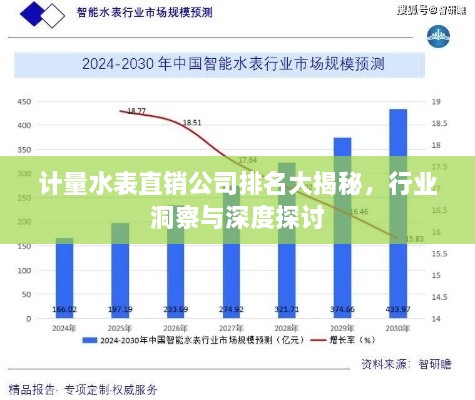 計量水表直銷公司排名大揭秘，行業(yè)洞察與深度探討