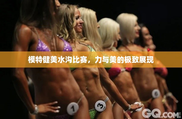 模特健美水溝比賽，力與美的極致展現(xiàn)