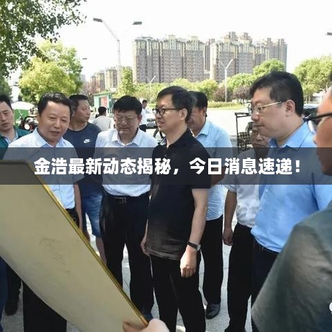 金浩最新動態(tài)揭秘，今日消息速遞！