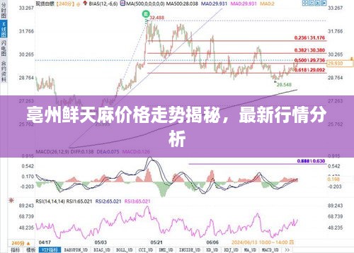 亳州鮮天麻價格走勢揭秘，最新行情分析