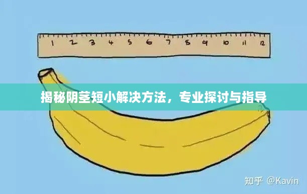 揭秘陰莖短小解決方法，專(zhuān)業(yè)探討與指導(dǎo)