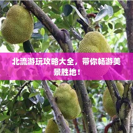 北流游玩攻略大全，帶你暢游美景勝地！