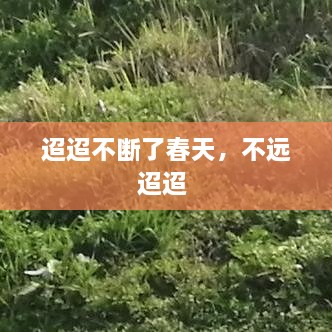 迢迢不斷了春天，不遠(yuǎn)迢迢 