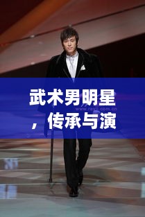 武術(shù)男明星，傳承與演繹的魅力展現(xiàn)