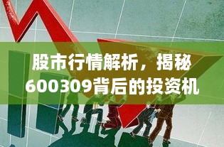 股市行情解析，揭秘600309背后的投資機(jī)會(huì)與挑戰(zhàn)