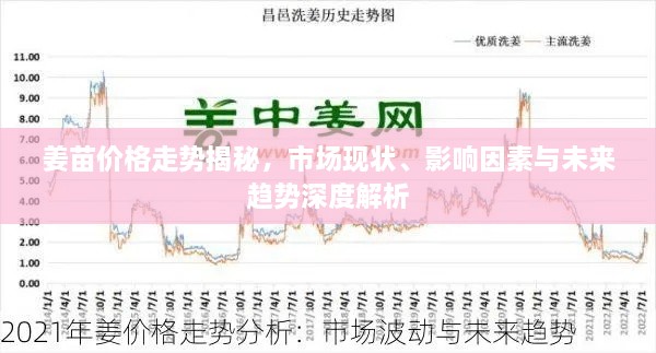 姜苗價(jià)格走勢(shì)揭秘，市場(chǎng)現(xiàn)狀、影響因素與未來(lái)趨勢(shì)深度解析