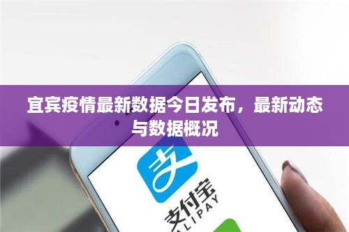 宜賓疫情最新數(shù)據(jù)今日發(fā)布，最新動態(tài)與數(shù)據(jù)概況
