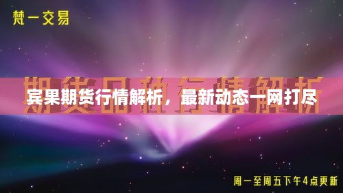 賓果期貨行情解析，最新動(dòng)態(tài)一網(wǎng)打盡
