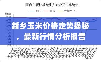 新鄉(xiāng)玉米價(jià)格走勢(shì)揭秘，最新行情分析報(bào)告