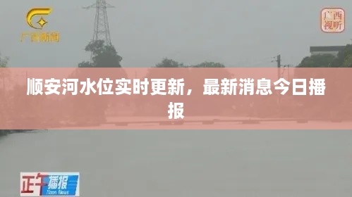 順安河水位實時更新，最新消息今日播報
