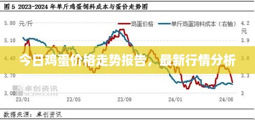 今日雞蛋價(jià)格走勢(shì)報(bào)告，最新行情分析