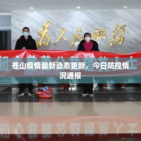 蒼山疫情最新動態(tài)更新，今日防控情況通報