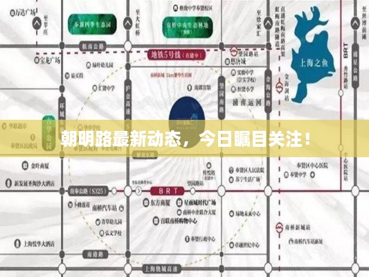 朝明路最新動(dòng)態(tài)，今日矚目關(guān)注！