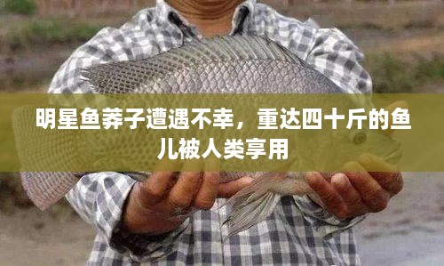 明星魚莽子遭遇不幸，重達(dá)四十斤的魚兒被人類享用