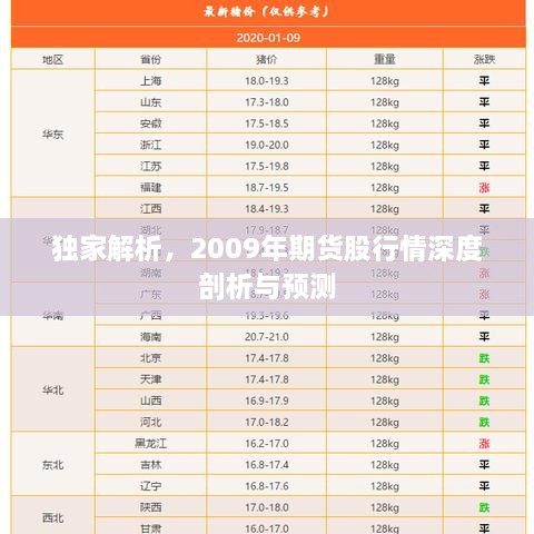 獨家解析，2009年期貨股行情深度剖析與預測