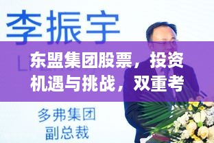 東盟集團(tuán)股票，投資機(jī)遇與挑戰(zhàn)，雙重考量不容錯(cuò)過(guò)
