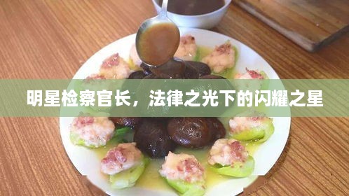 明星檢察官長，法律之光下的閃耀之星